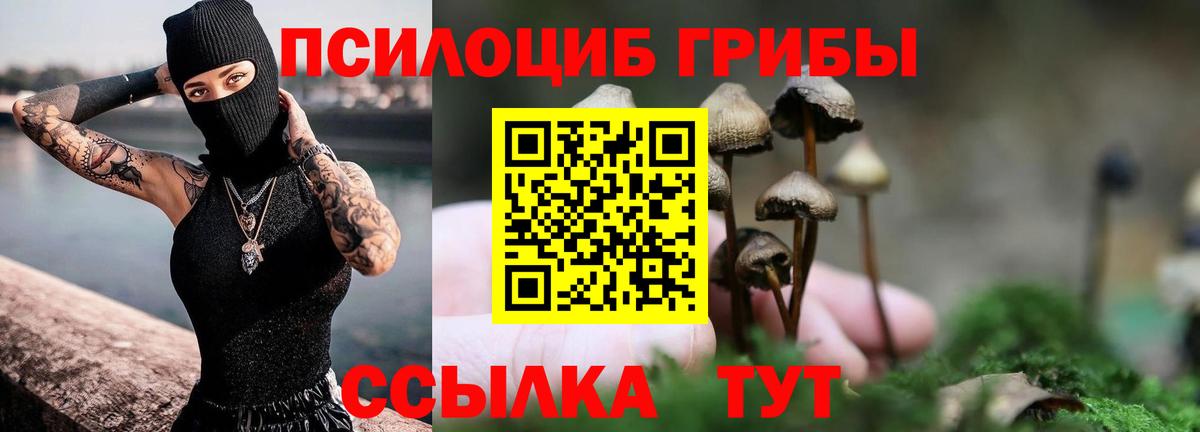 Псилоцибиновые грибы Cubensis Лянтор
